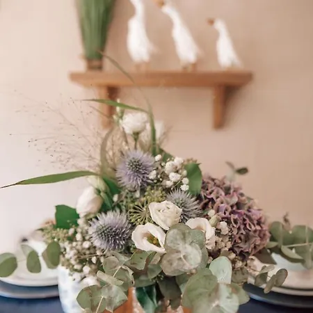 Casa de Férias _ferienhaus Rheinzeit 614 Schoenes Haus Direkt Am Rhein