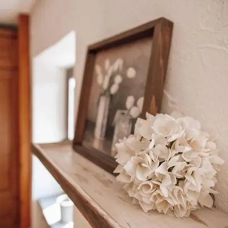 _ferienhaus Rheinzeit 614 Schoenes Haus Direkt Am Rhein * Leutesdorf