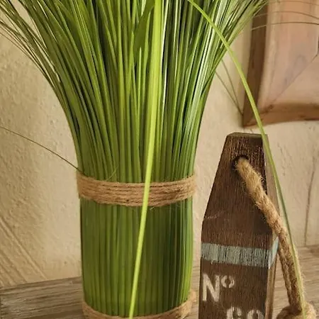 _ferienhaus Rheinzeit 614 Schoenes Haus Direkt Am Rhein