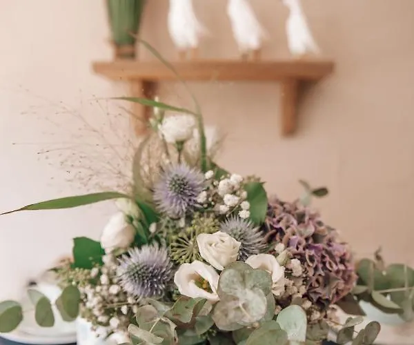 度假居 _ferienhaus Rheinzeit 614 Schoenes Haus Direkt Am Rhein