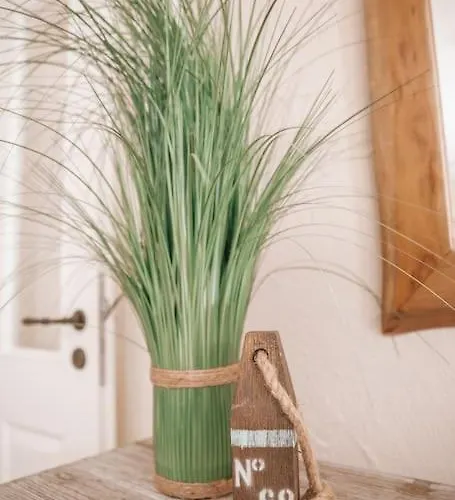 Casa vacanze _ferienhaus Rheinzeit 614 Schoenes Haus Direkt Am Rhein