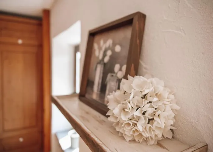 _ferienhaus Rheinzeit 614 Schoenes Haus Direkt Am Rhein * Leutesdorf