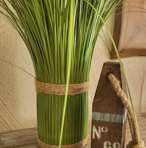 _ferienhaus Rheinzeit 614 Schoenes Haus Direkt Am Rhein